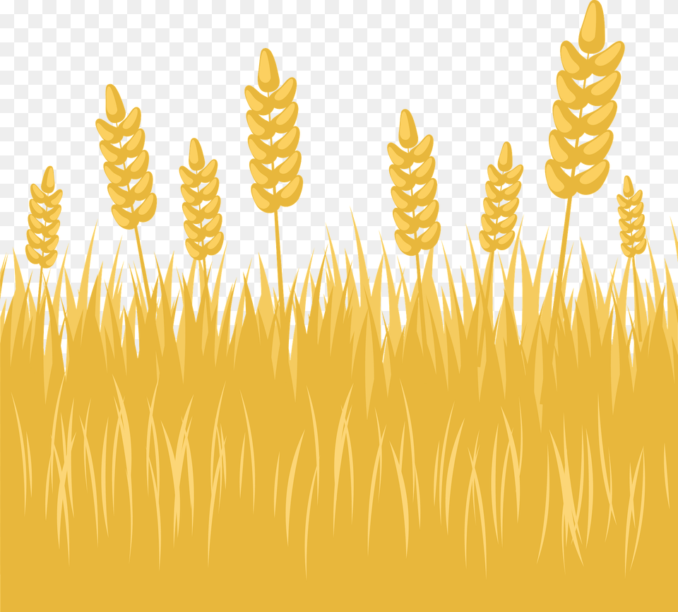 Wheat Field Clipart, Grass, Plant, Produce, Grain Free Png Download