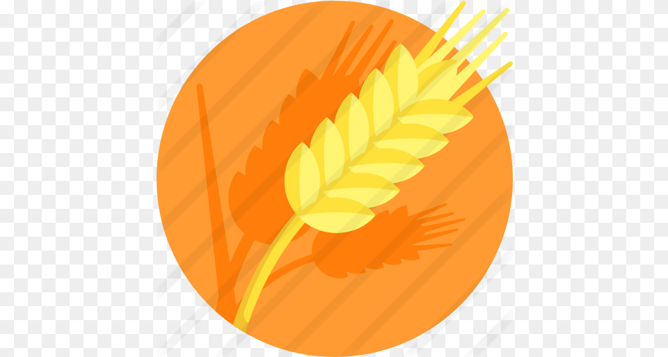 Wheat Food Icons Icon Circle Transparent Wheat, Grain, Produce, Nature, Outdoors Free Png