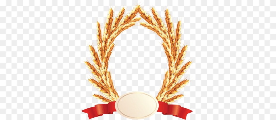 Wheat For Download Dlpng, Food, Grain, Produce, Plant Free Transparent Png
