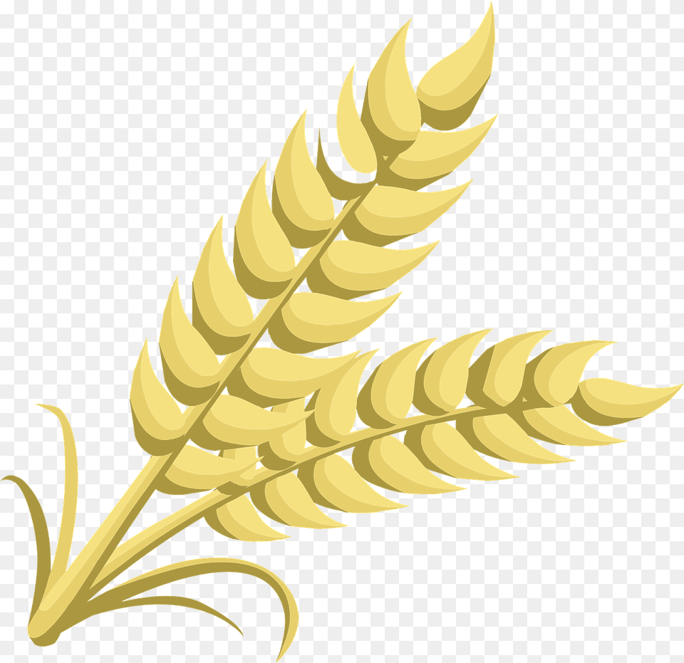 Wheat Grain Clipart, Leaf, Plant, Food, Produce Free Png