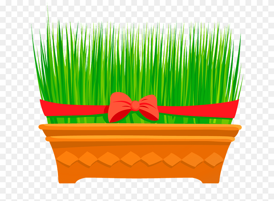 Wheat Grass Flower Season Outdoor Color Wheatgrass, Jar, Plant, Planter, Potted Plant Png