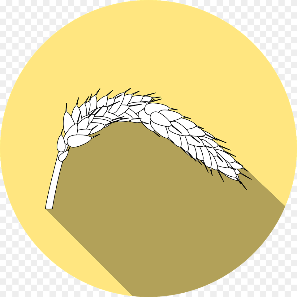 Wheat Icon Celiac Disease, Food, Grain, Produce, Astronomy Free Transparent Png