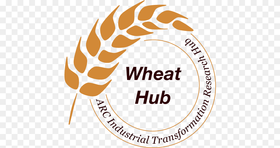 Wheat In A Hot And Dry Climate U2013 Hub Director Dr Cambridge Training College Britain, Food, Grain, Produce Free Png