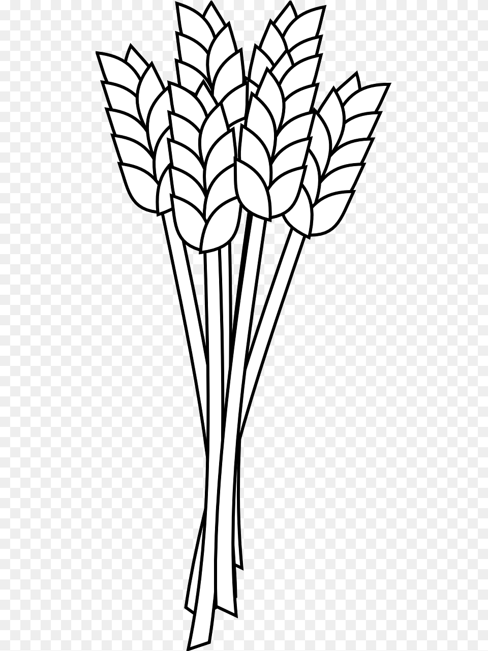 Wheat Plant Drawing Wheat Clipart Black And White, Stencil, Art, Food, Leek Png