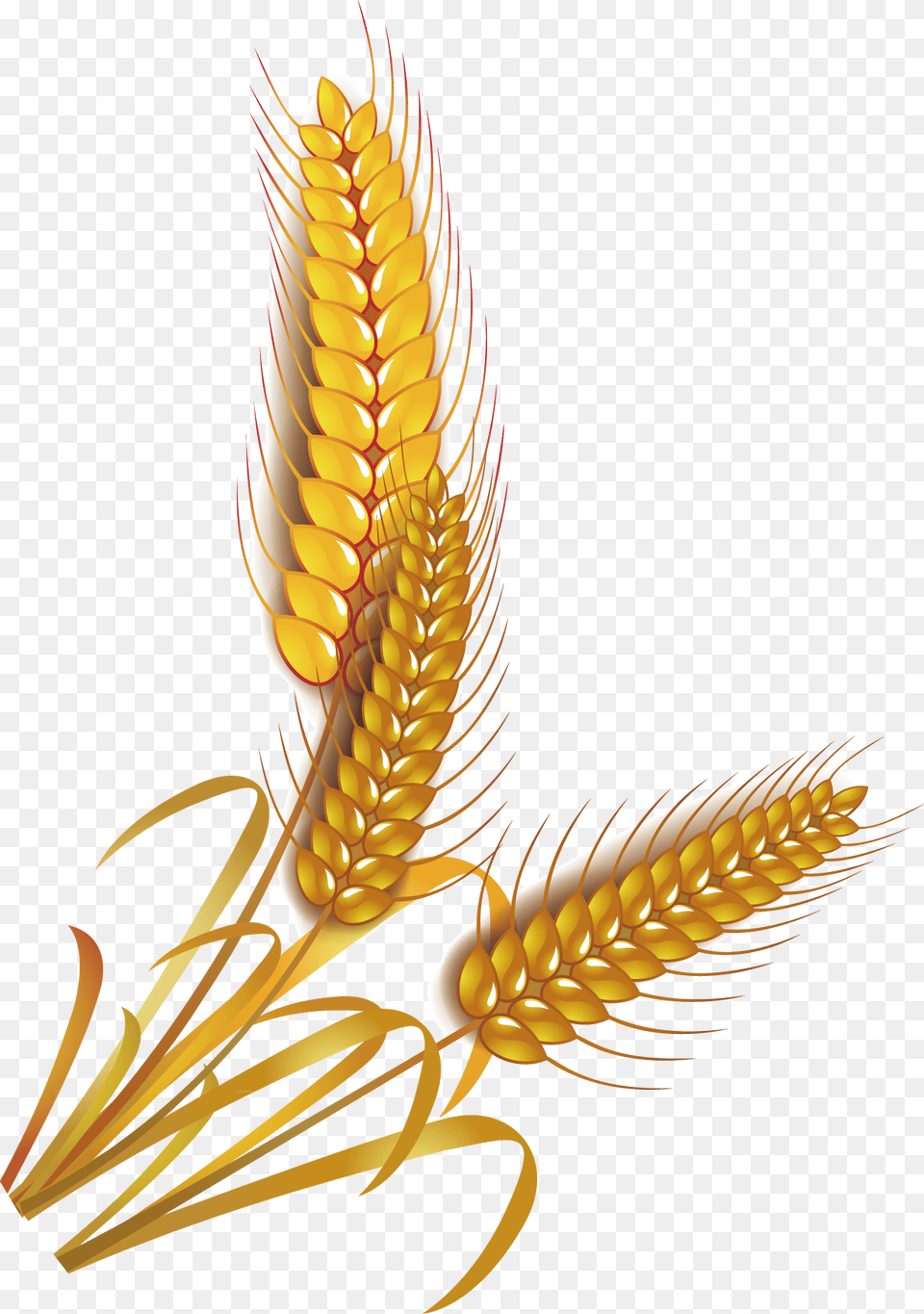 Wheat Rice Cereal Whole Grain Clip Art Grain Rice Vector, Food, Produce, Chandelier, Lamp Png