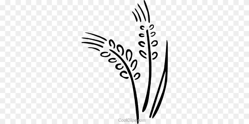 Wheat Royalty Vector Clip Art Illustration, Floral Design, Graphics, Pattern, Person Png
