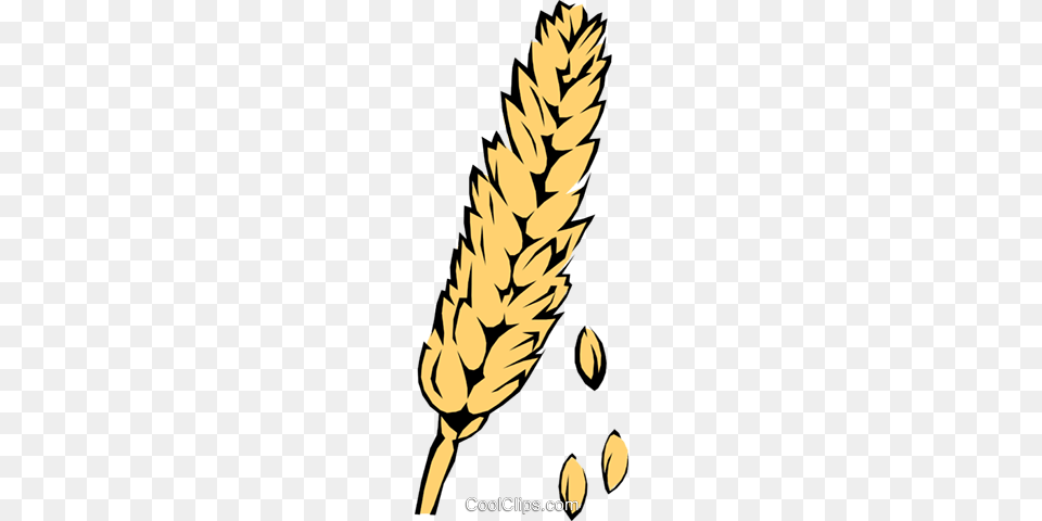 Wheat Royalty Vector Clip Art Illustration, Food, Grain, Produce, Person Free Transparent Png