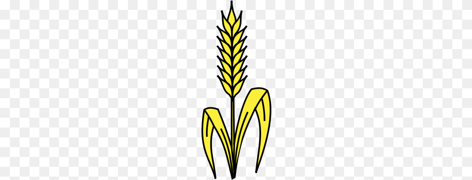 Wheat Stalk Vector Wheat Heraldry, Grass, Leaf, Plant, Flower Free Png