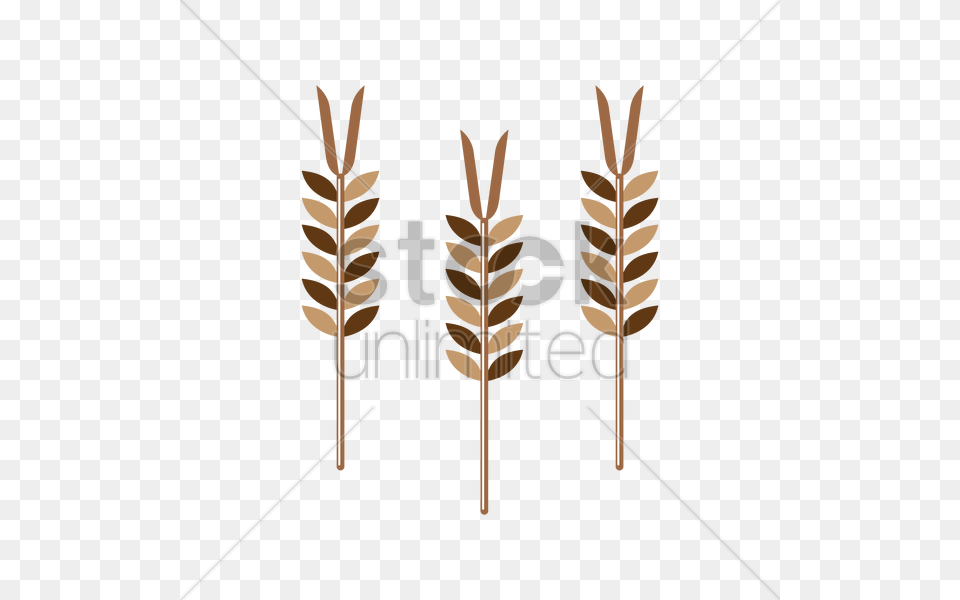 Wheat Stalks Vector Image, Festival, Hanukkah Menorah, Outdoors, Plant Free Transparent Png