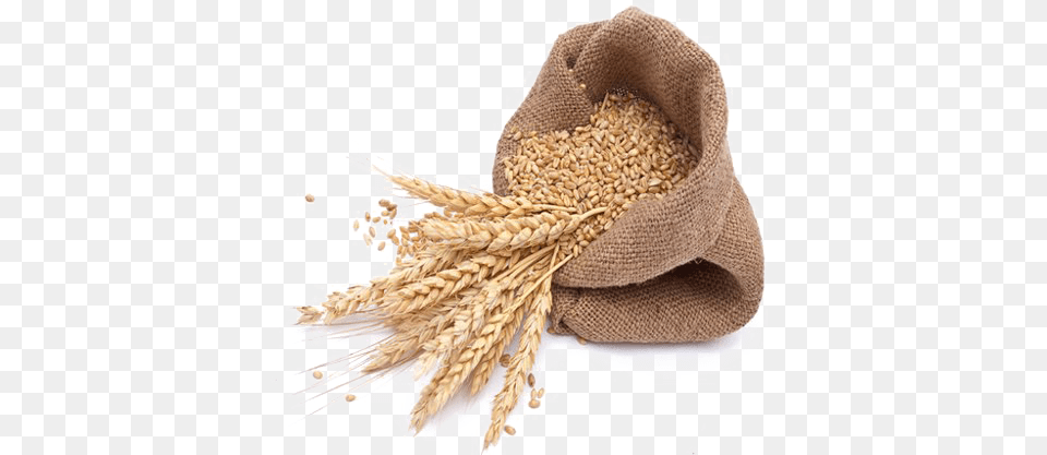 Wheat Transparent Images Transparent Background Wheat, Food, Grain, Produce, Bag Png Image