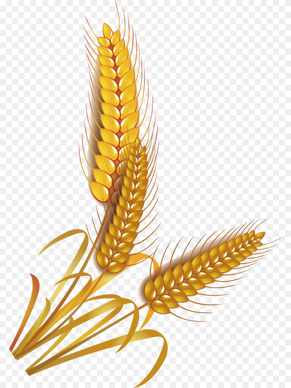 Wheat Vector At For Personal Use Transparent Whole Grain Clip Art, Food, Produce, Chandelier, Lamp Free Png Download