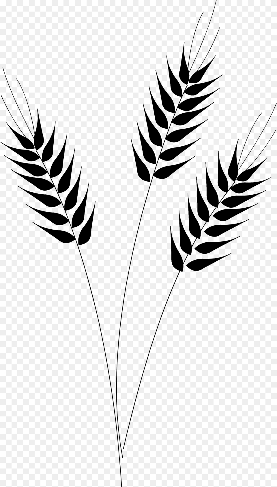 Wheat Vector Clip Art Black And White Wheat, Gray Free Png Download
