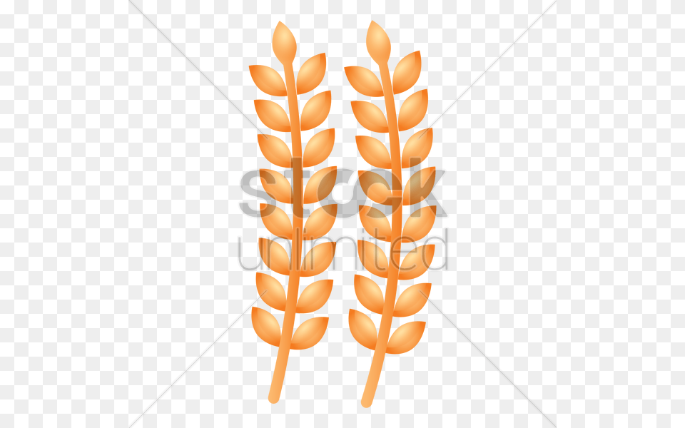 Wheat Vector Image, Food, Grain, Produce Free Transparent Png