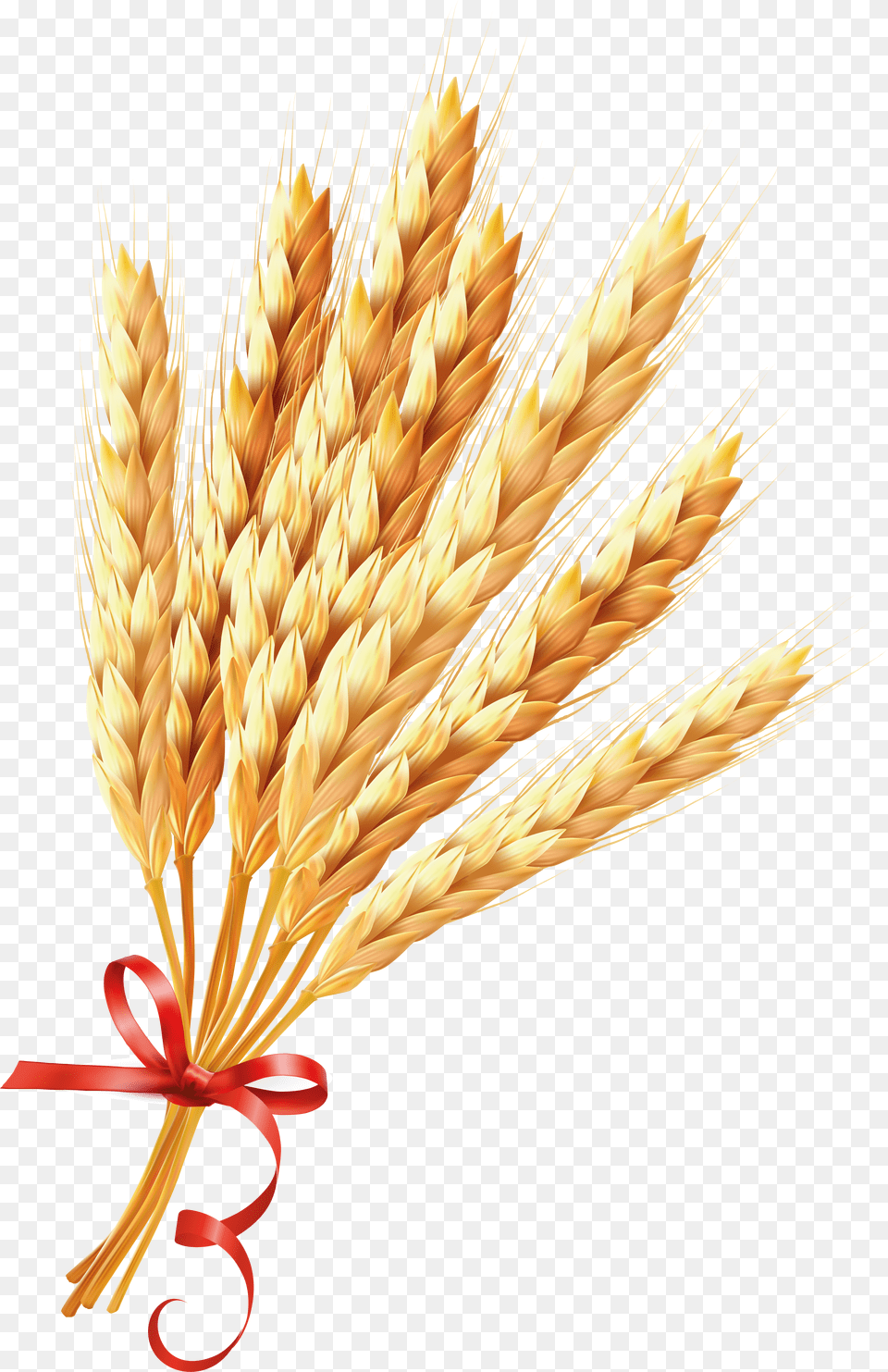 Wheat Wheat, Electronics, Mobile Phone, Phone Png Image