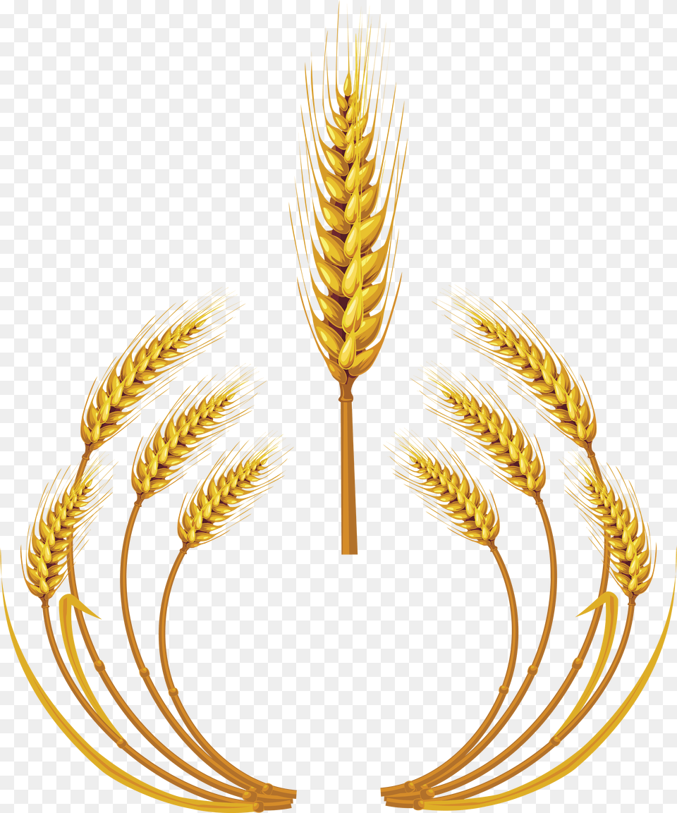 Wheat Wheat Logo, Food, Grain, Produce, Animal Png