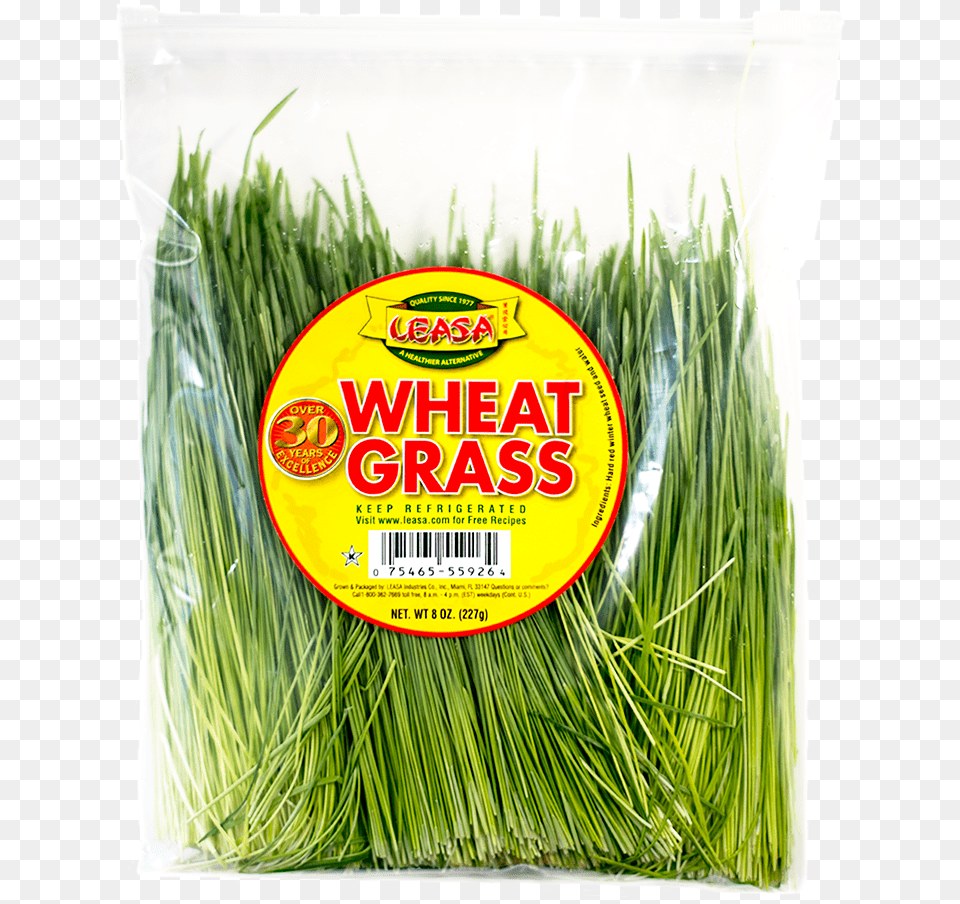 Wheatgrass Without Bg Leek, Grass, Plant, Herbal, Herbs Free Png