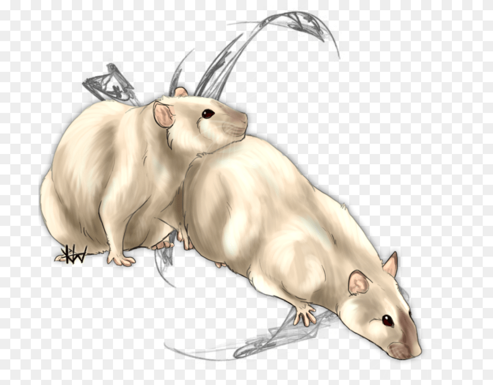 Wheatley And Booger Rat, Animal, Mammal, Rodent, Fish Free Png Download