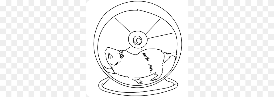 Wheel Animal, Mammal, Rodent, Disk Free Transparent Png