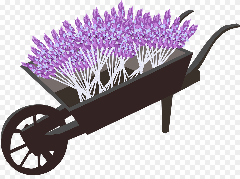 Wheel Barrow Planter Filled With Lavender Clipart, Machine, Vehicle, Transportation, Wheelbarrow Free Png