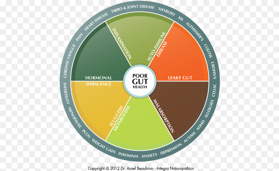 Wheel Copy Circle, Disk Free Png Download