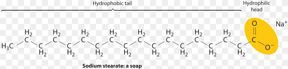 When A Dirty Cloth Is Placed In Soap Solution The Soap Molecule Structure, Outdoors, Nature, Electronics, Hardware Free Transparent Png