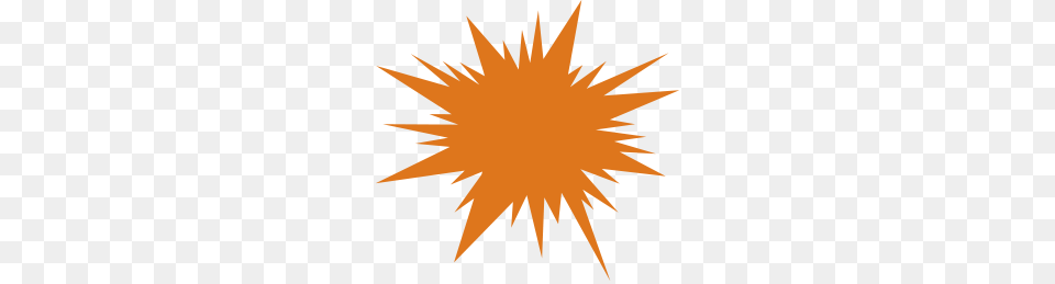 When A Nearby Star Goes Supernova Scientists Will Be Ready, Plant, Leaf, Logo, Outdoors Free Transparent Png