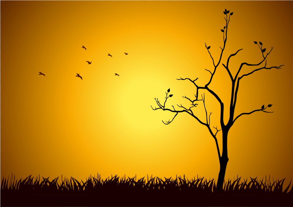 When A Tree Is Obviously Not Doing Well You Will Probably Art Print Rudall3039s Hope, Silhouette, Savanna, Sky, Outdoors Free Png Download