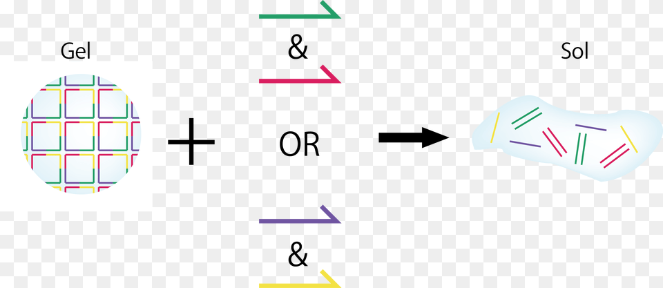 When Adding Only Dna Strand A Or Dna Strand B Graphic Design, Number, Symbol, Text Png