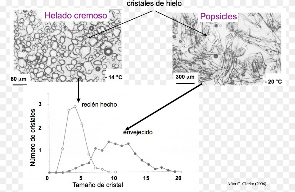 When An Ice Cream Is Not Conserved Adequately The Crystallization In Foods By Richard W Hartel, Chart, Plot Free Png Download