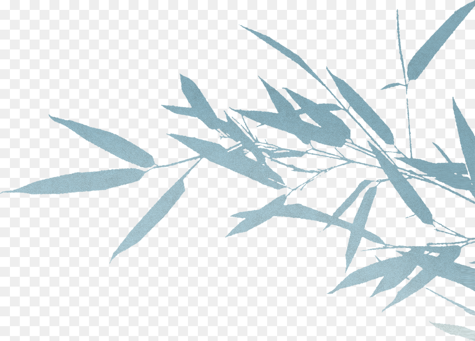 When One Explores Life With Mindfulness The Japanese Grass, Leaf, Plant, Silhouette, Art Png