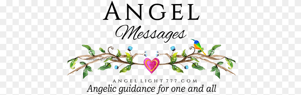 When Oracle Messages Are Confusing Angel Light 777 Decorative, Animal, Bird, Jay Free Png Download