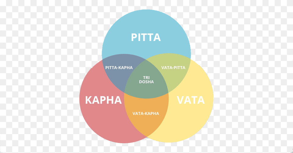 When The Equilibrium Is Disturbed You Get Diseases Circle, Diagram, Venn Diagram, Disk Free Png