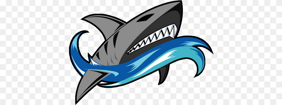 When Trying To Change The Logo Sharks Logo Perth Sharks Ice Hockey, Animal, Sea Life Free Png