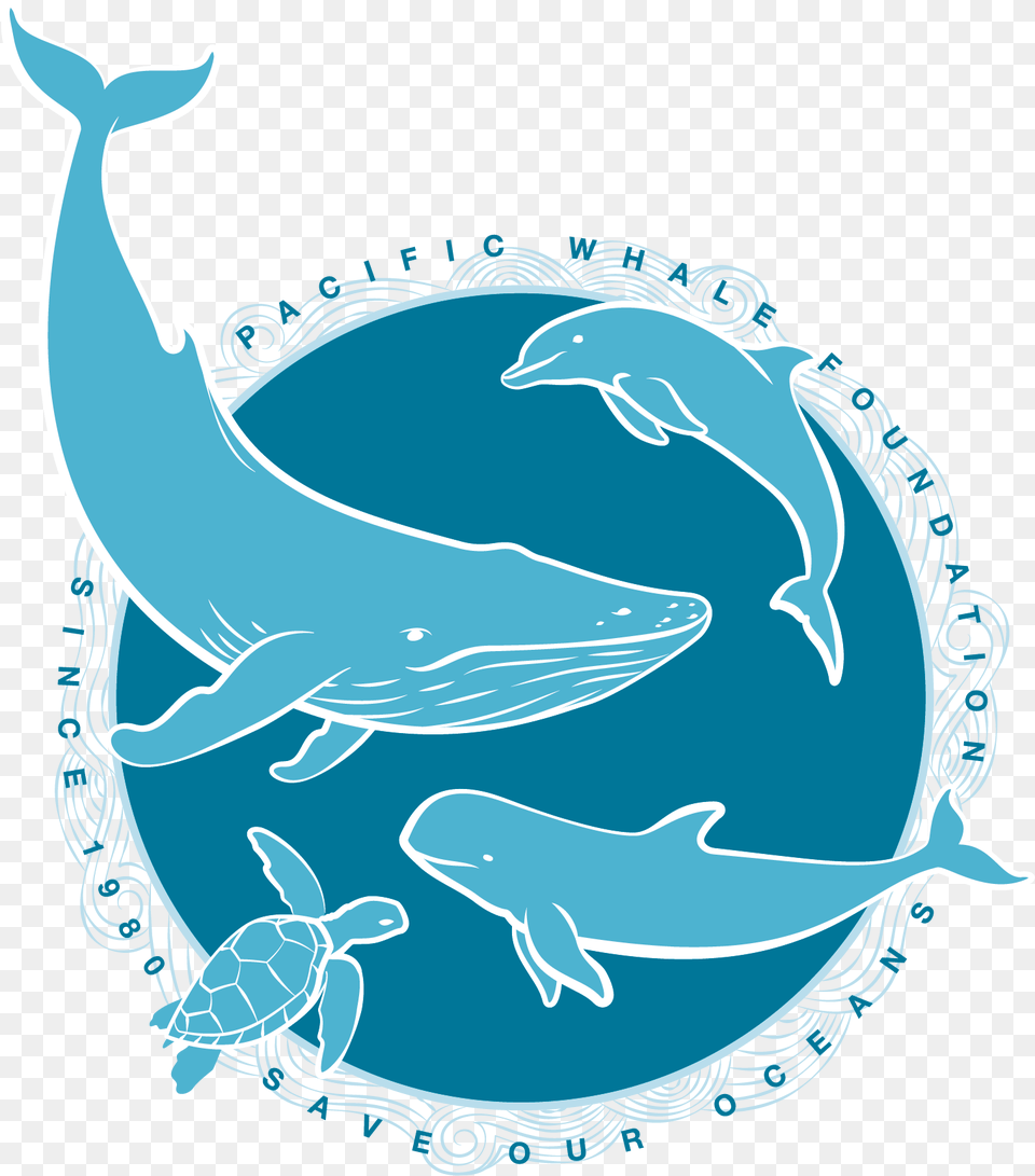 When You Adopt A Whale Dolphin Or False Killer Whale Logo Chup Chup Gourmet, Animal, Sea Life, Turtle, Reptile Free Transparent Png
