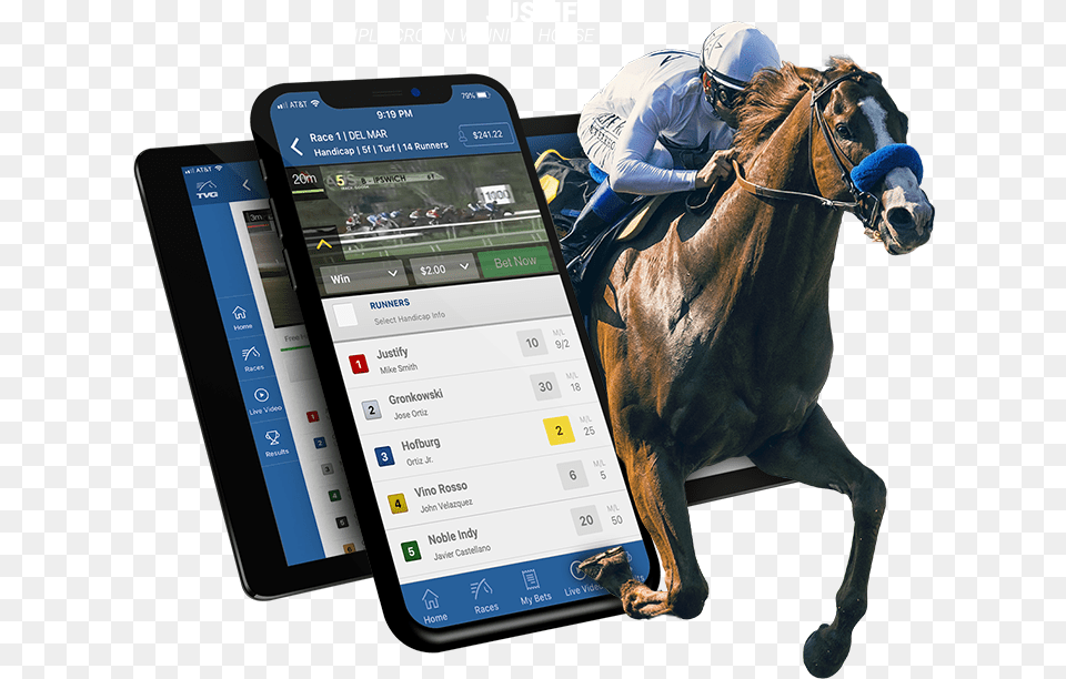 When You Are Betting With Horse Racing Online Gambling Monmouth Park, Helmet, Adult, Person, Man Free Transparent Png