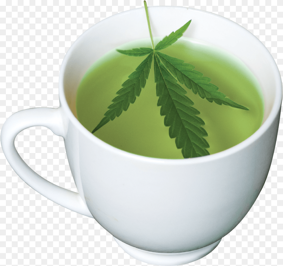 Whenhow To Drink Cbd Tea Buddha Cbd Tea, Herbal, Herbs, Plant, Beverage Free Png Download