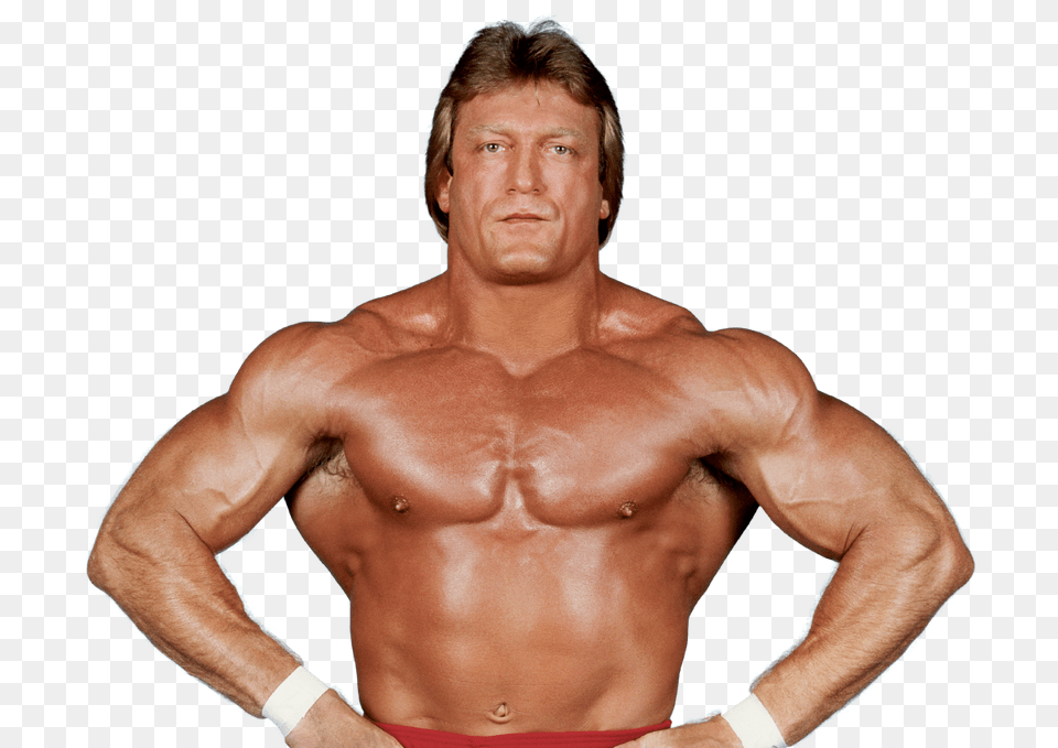 Where Is Paul Orndorff Now Wrestling, Adult, Male, Man, Person Free Png Download