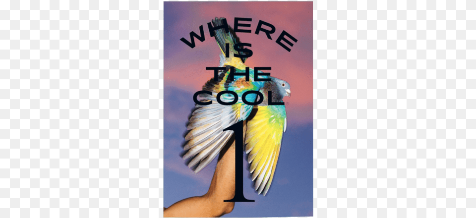 Where Is The Cool Magazine Graphic Design, Animal, Bird, Parrot, Parakeet Png Image