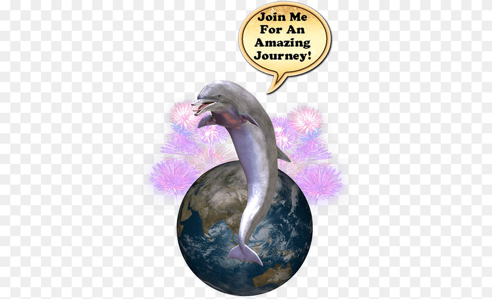 Where S The Dolphin Sticker Pack For Imessage Messages Common Bottlenose Dolphin, Animal, Mammal, Sea Life, Bird Free Transparent Png