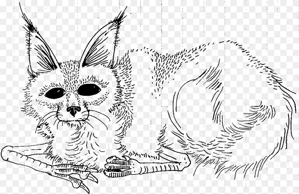 Where The Wild Things Are Coloring Pages Sketch, Animal, Pet, Cat, Mammal Png Image