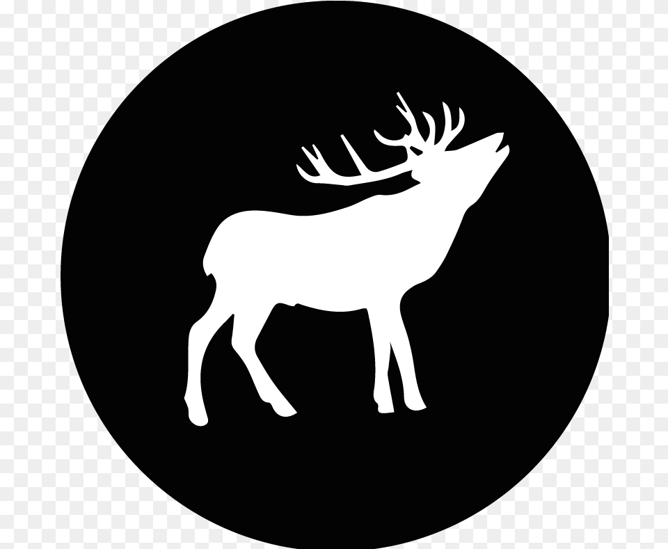 Where The Wild Things Are Silhouette Twitter Icons Black Elk, Animal, Deer, Mammal, Wildlife Free Png