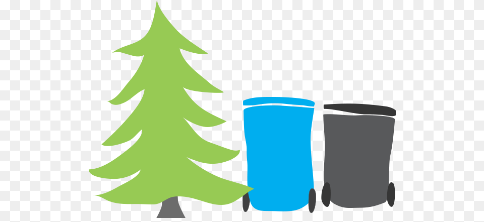 Where Waste Meets Its Match Simple Up To Date Recycling, Plant, Tree, Fir, Person Free Png
