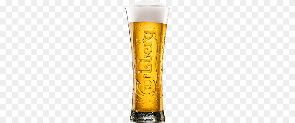 Which Pilsner Pairs Best With My Braised Ribsquot Carlsberg Half Pint Glass Toughened One Glass, Alcohol, Beer, Beer Glass, Beverage Free Png