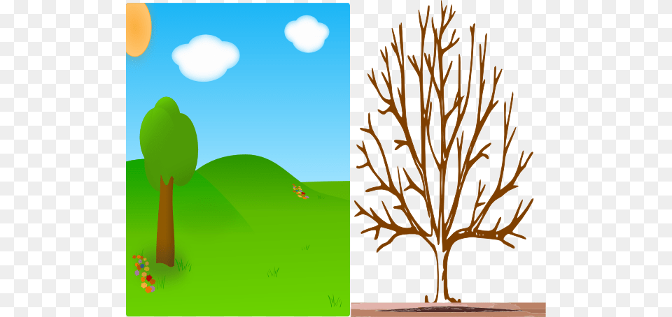 Which Would U Rather Live In Clip Art, Plant, Tree, Grass, Field Free Png Download