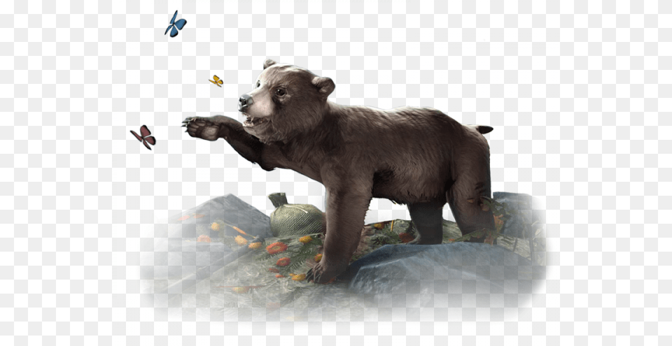 While You39re In The Store Why Not Check Out The Adorable Eso Bear Pet, Animal, Mammal, Wildlife, Brown Bear Free Transparent Png
