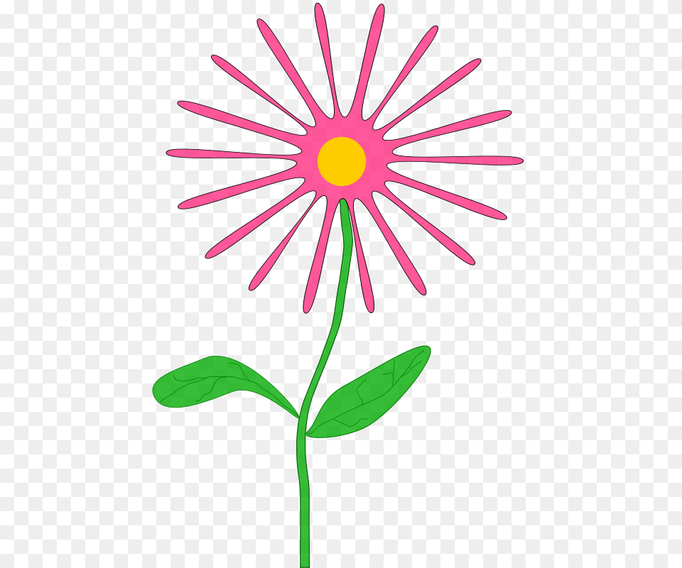Whimsical Pink Flower, Daisy, Plant, Petal Png