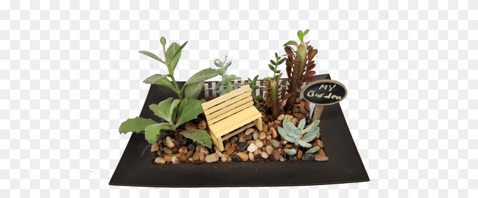 Whimsical Succulent Garden Houseplant, Jar, Leaf, Plant, Planter Free Png Download