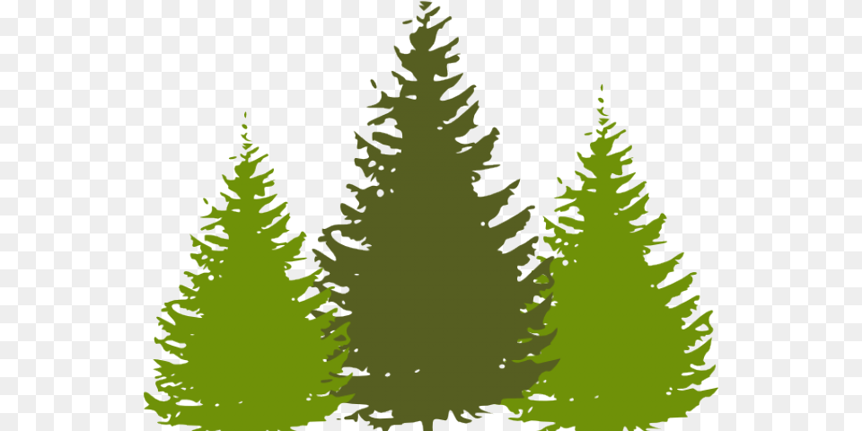 Whimsical Tree Cliparts Download Clip Art, Conifer, Fir, Plant, Pine Free Png