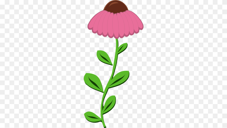 Whimsical Wonder, Daisy, Flower, Herbal, Herbs Png