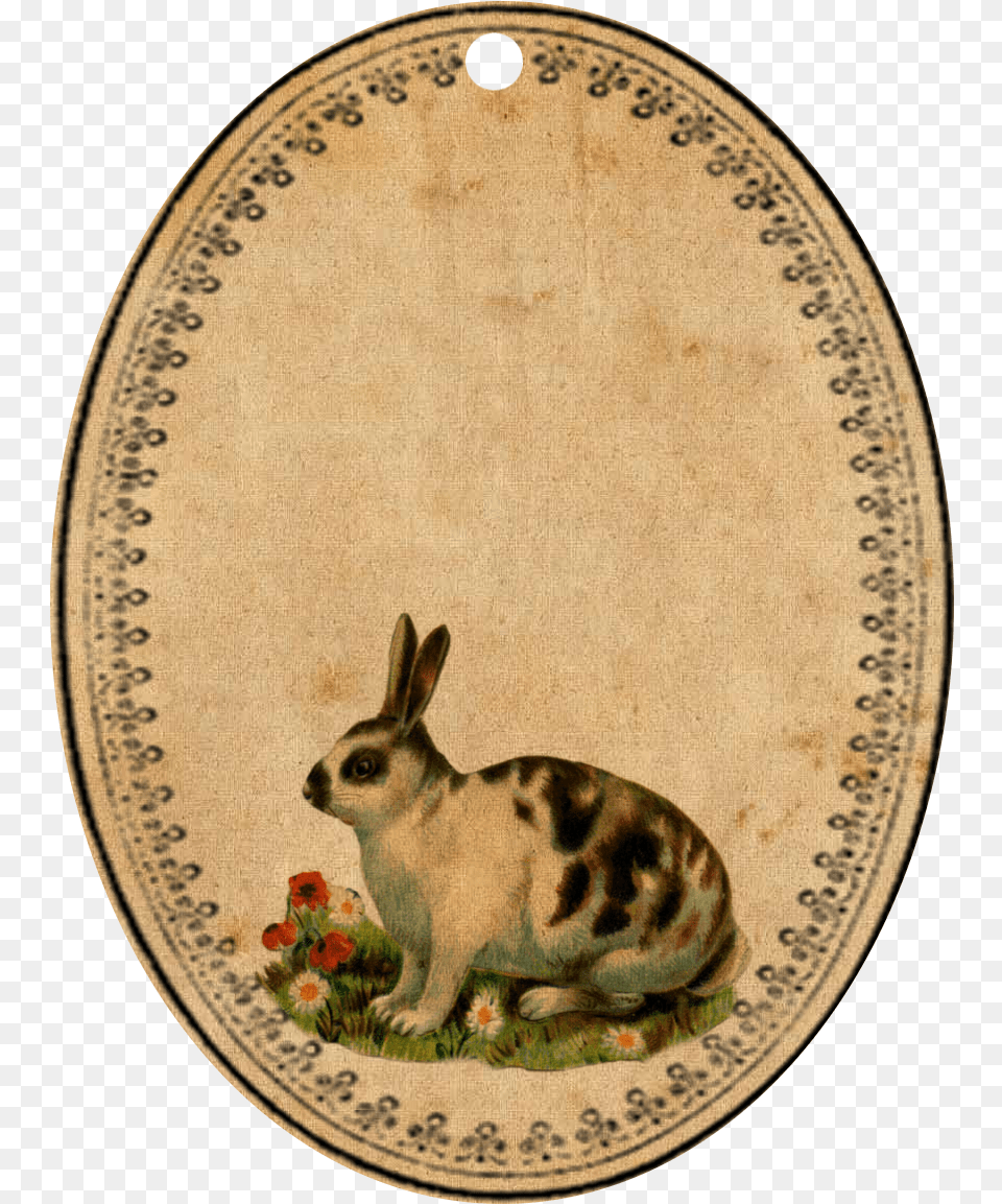 Whimsybags Vintage Spotted Bunny Rabbit Natural Or, Animal, Hare, Mammal, Rodent Free Png Download